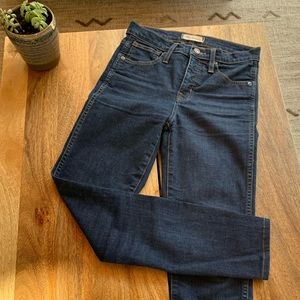 Madewell 10” High Rise skinny jeans